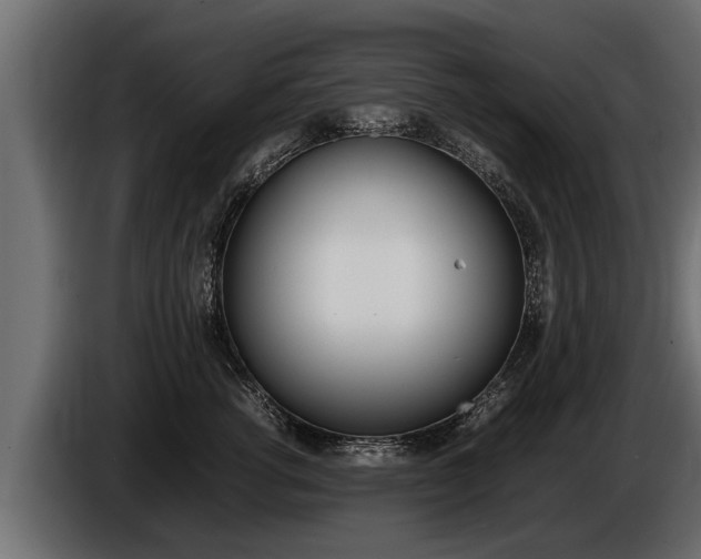 X0000086760762200704130814