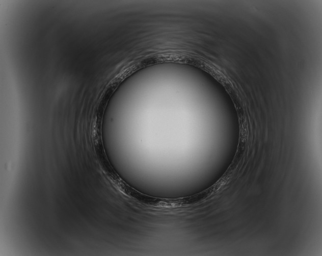 X0000086760764200704130814