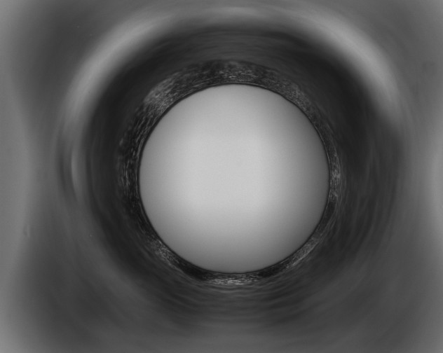 X0000086760765200704130814