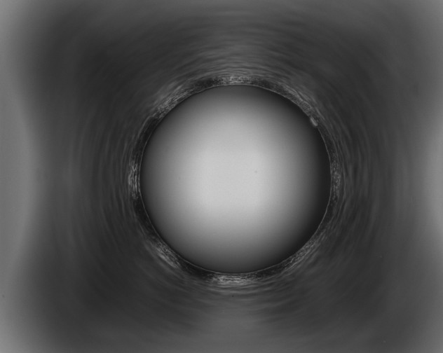 X0000086760766200704130814