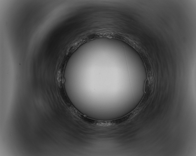 X0000086760767200704130814