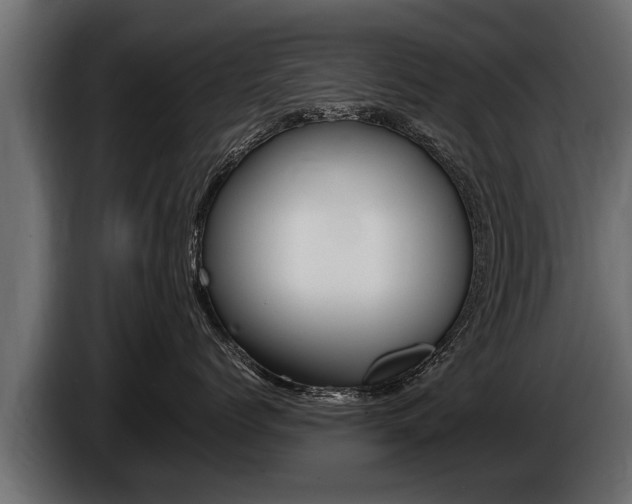 X0000086760768200704130814