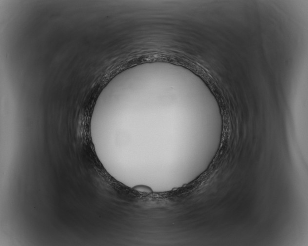 X0000086760770200704130814