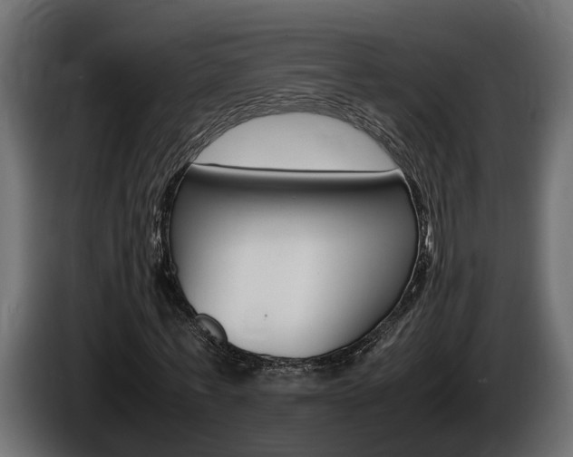 X0000086760771200704130814