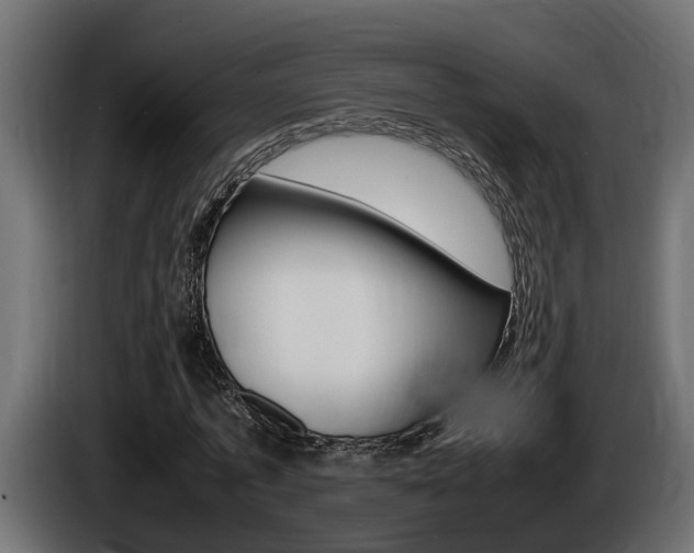 X0000086760773200704130814