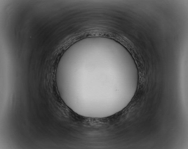 X0000086760774200704130814