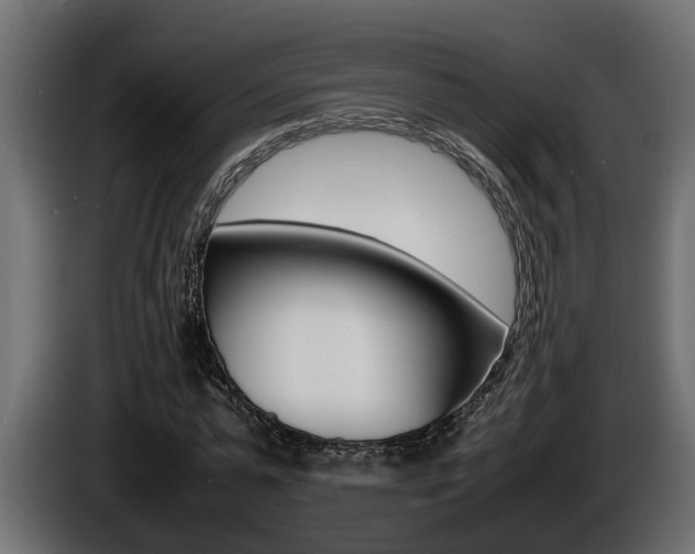 X0000086760775200704130814