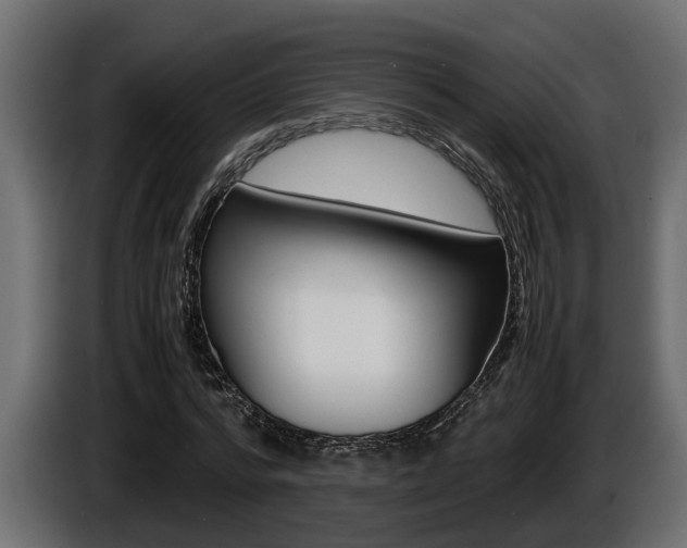 X0000086760776200704130814