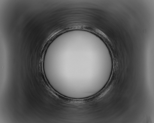 X0000086760778200704130814