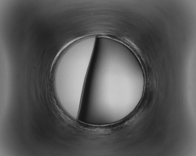 X0000086760779200704130814