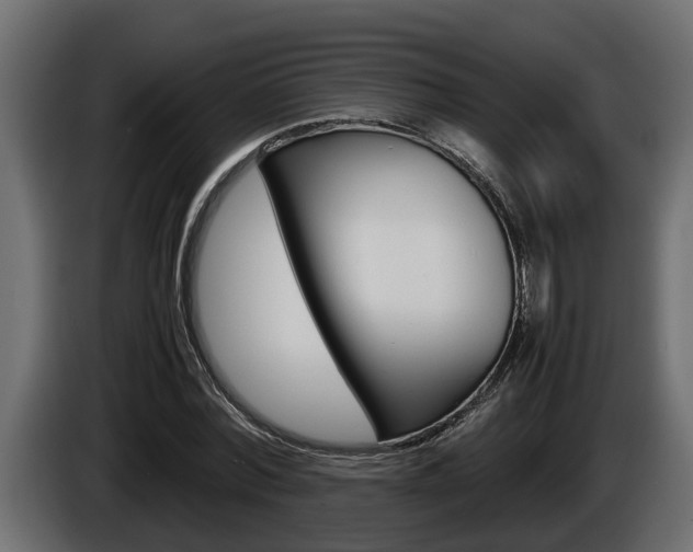 X0000086760780200704130814