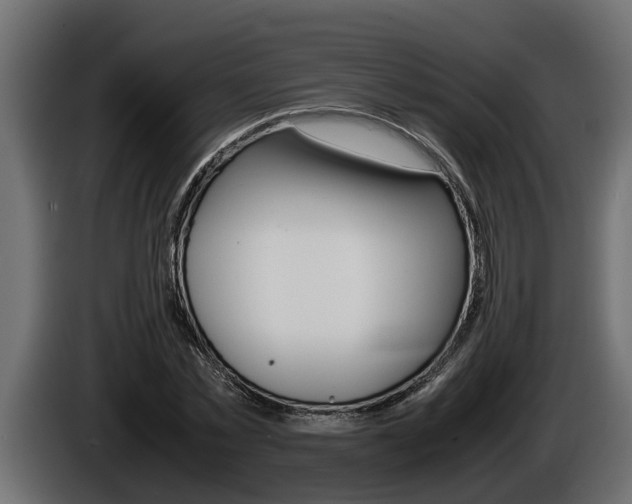 X0000086760781200704130814