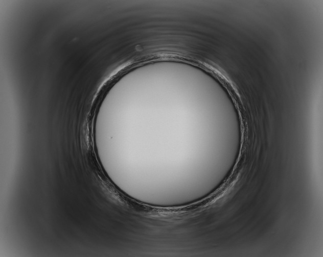 X0000086760782200704130814