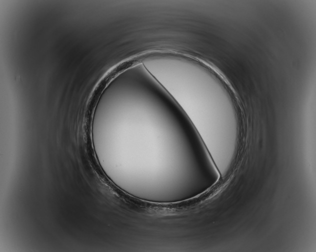 X0000086760783200704130813