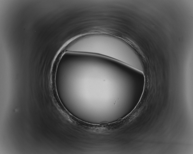 X0000086760784200704130813