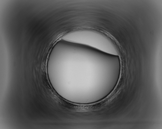 X0000086760785200704130813