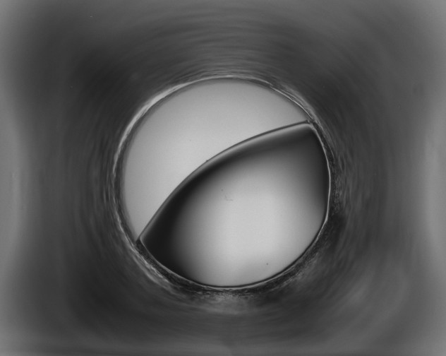 X0000086760787200704130813