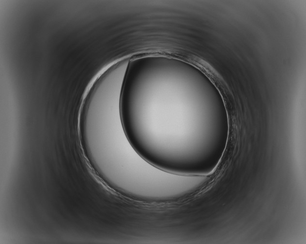 X0000086760788200704130813