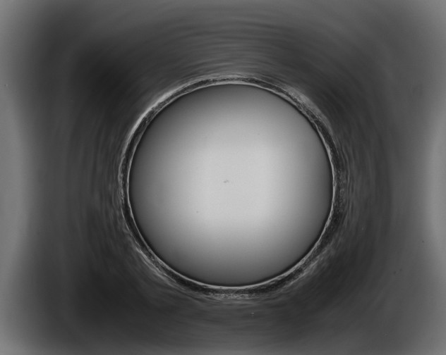 X0000086760789200704130813