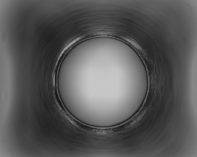 X0000086760790200704130813