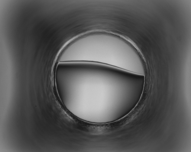 X0000086760791200704130813