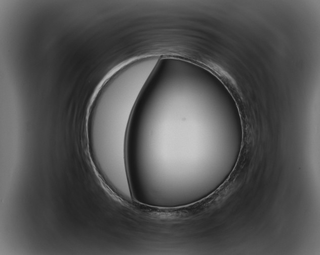 X0000086760792200704130813