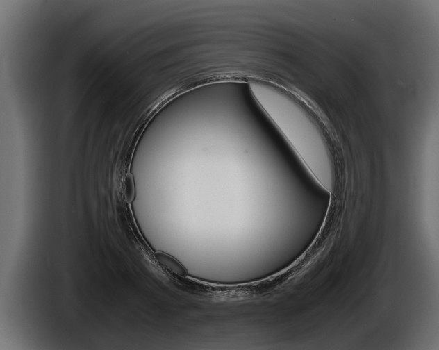 X0000086760793200704130813