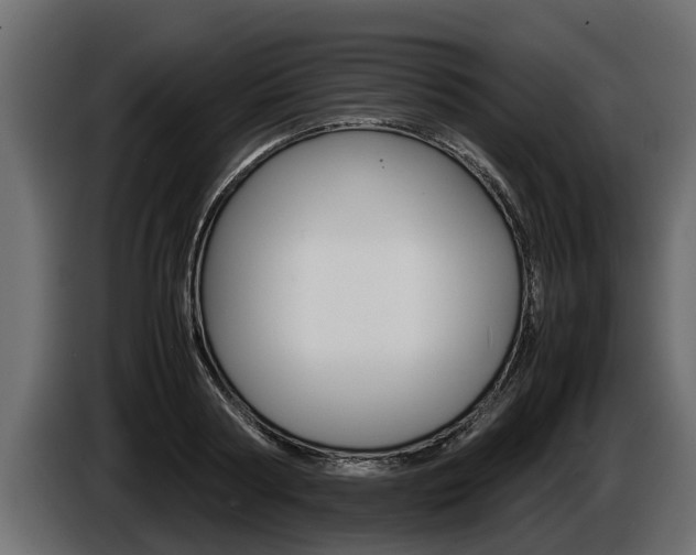 X0000086760794200704130813