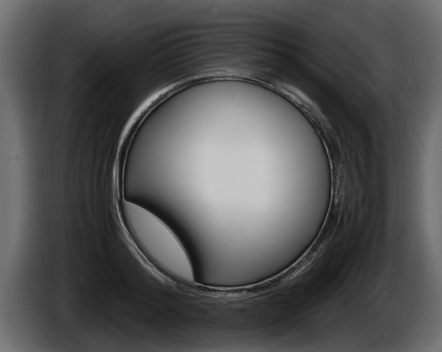 X0000086760796200704130813