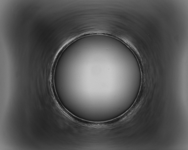 X0000086760797200704130813