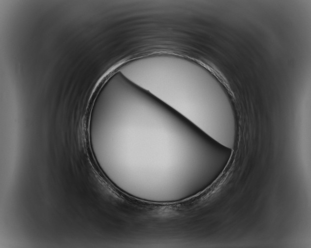 X0000086760798200704130813