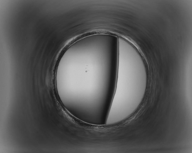X0000086760799200704130813