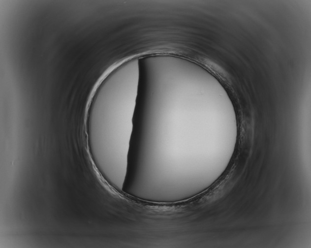 X0000086760800200704130813