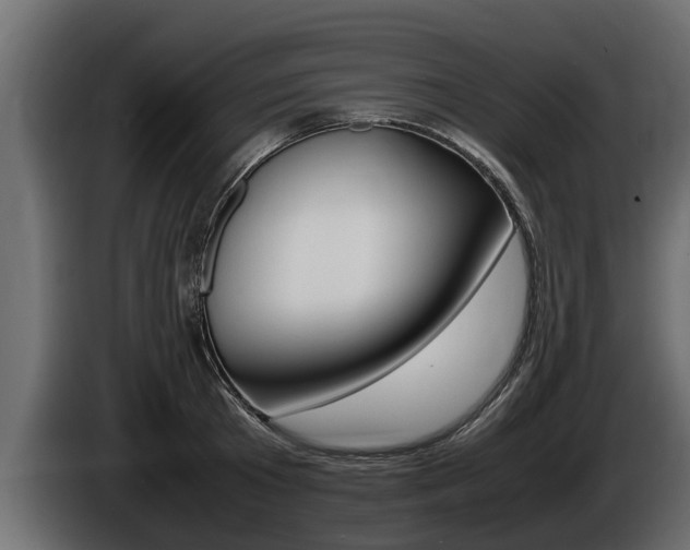 X0000086760801200704130813