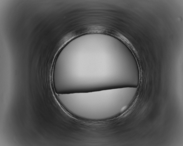 X0000086760802200704130813