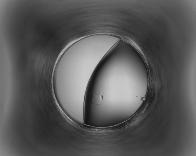X0000086760803200704130813