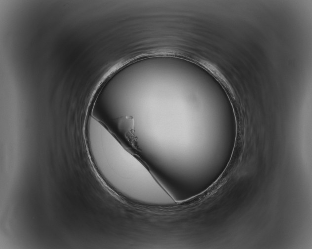 X0000086760805200704130813