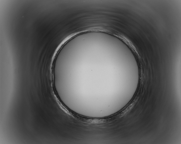 X0000086760808200704130813