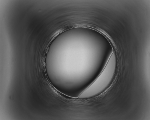 X0000086760809200704130813