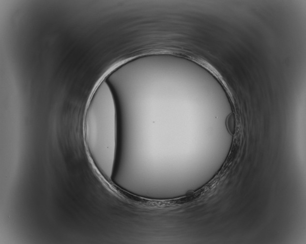 X0000086760811200704130813