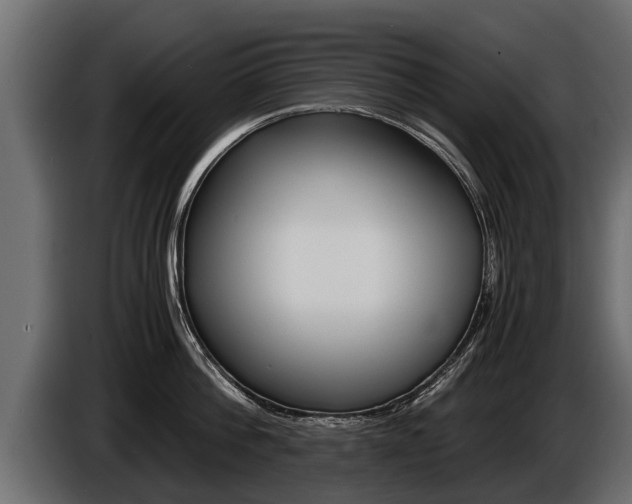 X0000086760812200704130813