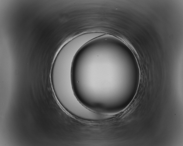 X0000086760813200704130813