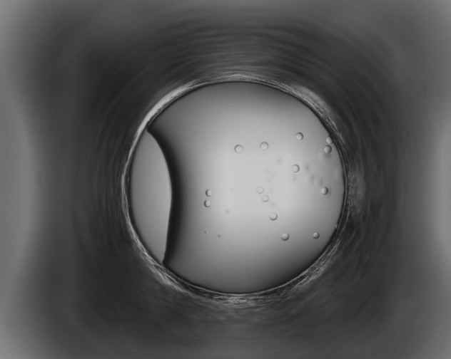 X0000086760814200704130813