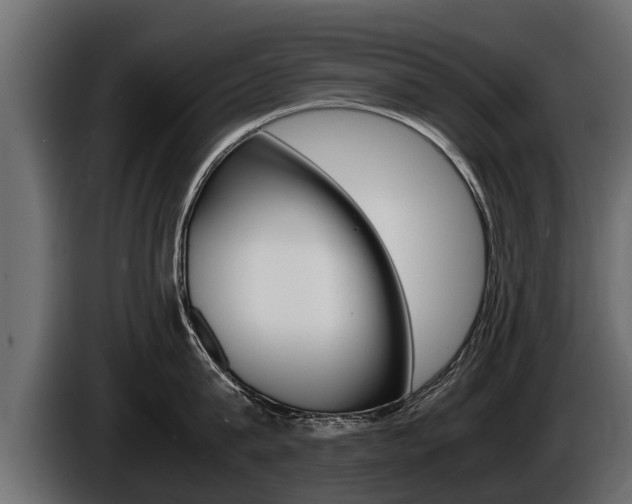 X0000086760815200704130813