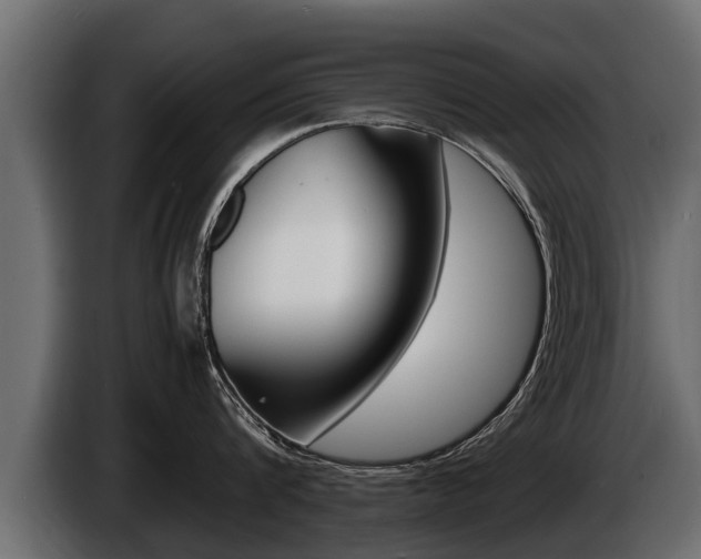 X0000086760816200704130813