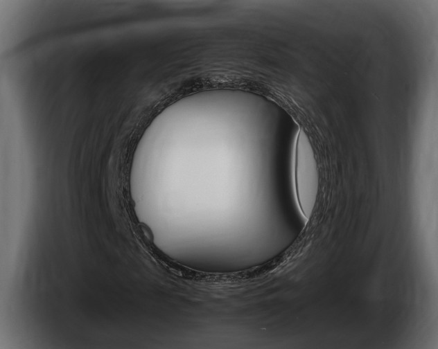 X0000086760817200704130812