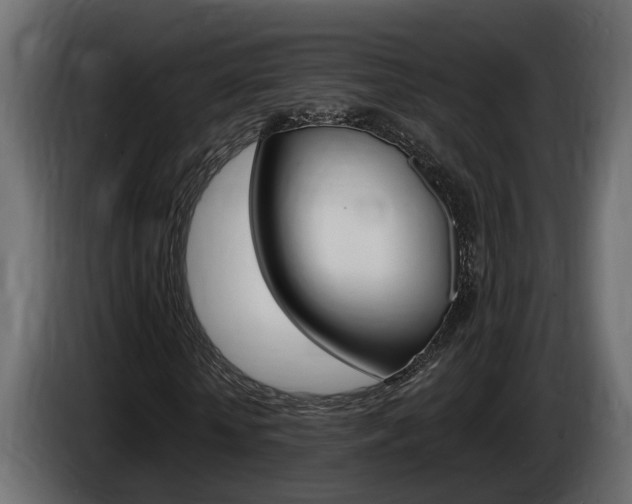 X0000086760818200704130812