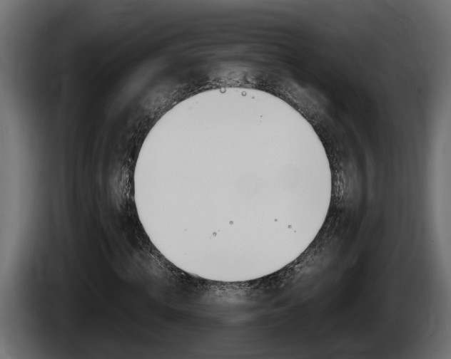 X0000086760820200704130812