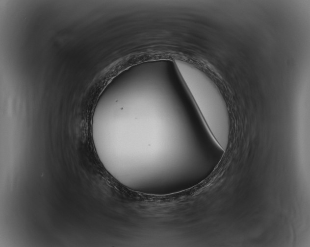X0000086760821200704130812