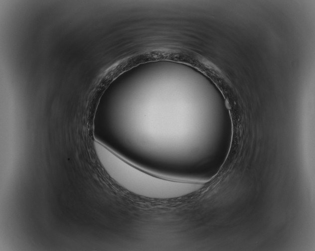 X0000086760822200704130812
